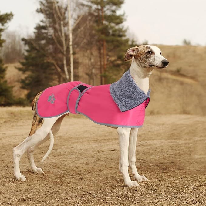 Geyecete Dog Winter Coat Geyecete Greyhound Raincoat Fabric with Lamb Velvet Inside Outdoor Dog Apparel with Adjustable Bands for Medium, Large Dog-Pink-XS