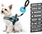 Service Dog Vest Harness and Leash Set, Animire in Training Dog Harness with 10 Dog Patches, Reflective Dog Leash with Soft Padded Handle for Small, Medium, Large, and Extra-Large Dogs
