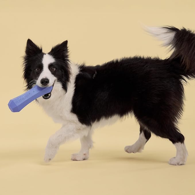 Playology Dog Toys | Squeaky Chew Stick for Large Dogs | Blueberry Scented Jumbo Fetch Toy | Squeaky Dog Chew Toy