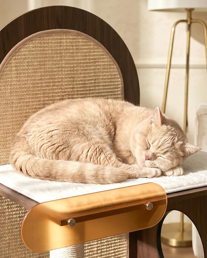 47" Solid Wood Cat Tree, Modern Cat Furniture for Large Cats | Scratch-Resistant Hardwood, Walnut or Maple Finish, Machine-Washable Cushion, Anti-Tip Base, 30-Min Assembly, Indoor Use