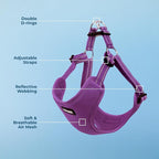 Voyager Step-in Flex Adjustable Dog Harness - Purple, Medium | 17 - 21" in Chest, Fully Adjustable, Reflective Bands, All Weather Breathable Air Mesh, Lightweight, Fast Drying