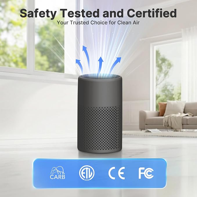 Air Purifiers for Bedroom, Dorm Room, True HEPA Filter for Smoke, Grey | Small Air Purifier for Wildfire Smoke, Dust, Pet Dander, 24dB Quiet Sleep Mode with Night Light, Fragrance Sponge, 2 Pack