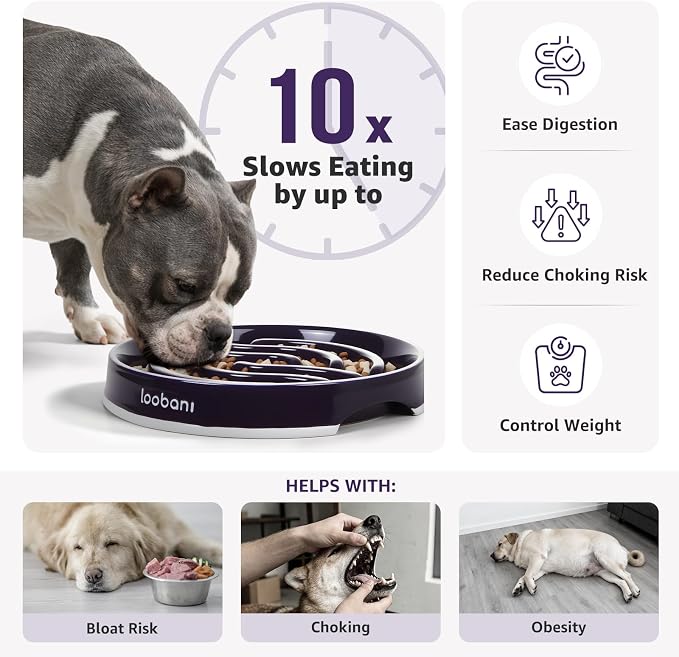 LOOBANI 4.5 Cups Ceramic Slow Feeder Dog Bowls Giant Dogs with Grip Handles | Heavy Ceramic, Stay in Place, Healthier Eating, Durable & Easy-Clean, Foam-Protected, Perfect for Fast-Eating Large Breeds