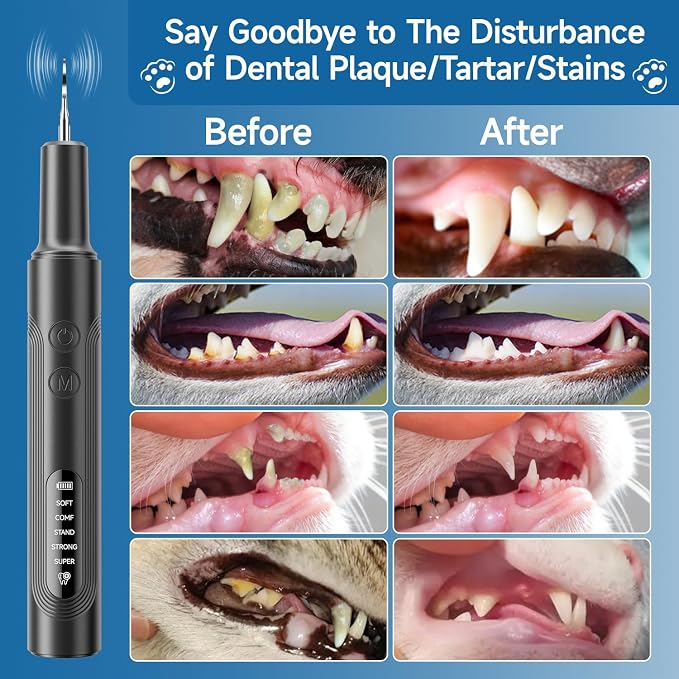 Jellytree Dog Plaque and Tartar Remover,Dogs Teeth Cleaning Kit with Led Light,5 Modes Dog Tooth Plaque Remover, Tooth Cleaner for Dogs and Cats USB Charge,Low Noise Tartar Remover for Teeth