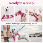 rabbitgoo Dog Harness Medium Sized and Leash Set, Step-in Puppy Pet Vest | Light, Soft, Breathable Air Mesh, Easy on and Remove with Hook & Loop, Secure Reflective for Walking, Rose Red Plaid L