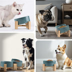 SPUNKYJUNKY 15° Slanted Ceramic Dog and Cat Bowl with Wooden Stand, Tilted Bulldog Food and Water Bowl No Slip Non-Spill for Cats Medium Dogs Big Face Pets 13.5 OZ (1.7 Cups, Light Green × 2)