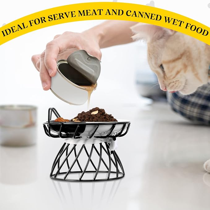 Cat Feeder, 4 Pcs Elevated Ceramic Cat Bowls with Metal Stand, Whisker Friendly, Anti Vomit, Dishwasher Safe, for Dog Pet (Multicolor)
