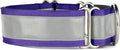 If It Barks - 1.5" Reflective Martingale Collar for Dogs - Adjustable - Made in USA - Strong, Durable, and Comfy - Ideal for Training - Suitable for Most Breeds - Small, Purple