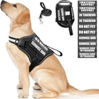 WINSEE Service Dog Harness & Leash Set, Large, Black with 10 Patches, Reflective, Adjustable, for Medium & Large Dogs