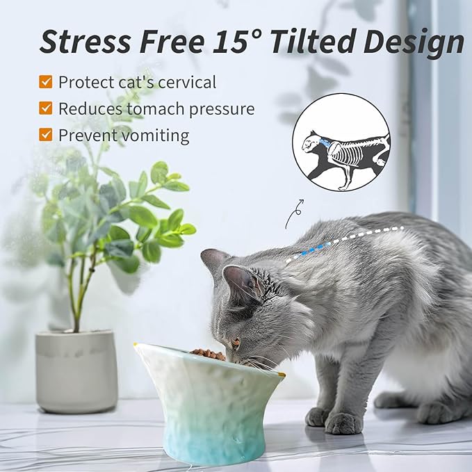 Cute Fish Shape Ceramic Elevated Cat Bowl for Food, 2-Pack | Shallow and Tilted Design, Whisker-friendly, Anti-vomiting, Non-slip base, Ideal for Wet Food, Kittens & Treats, Green & Blue