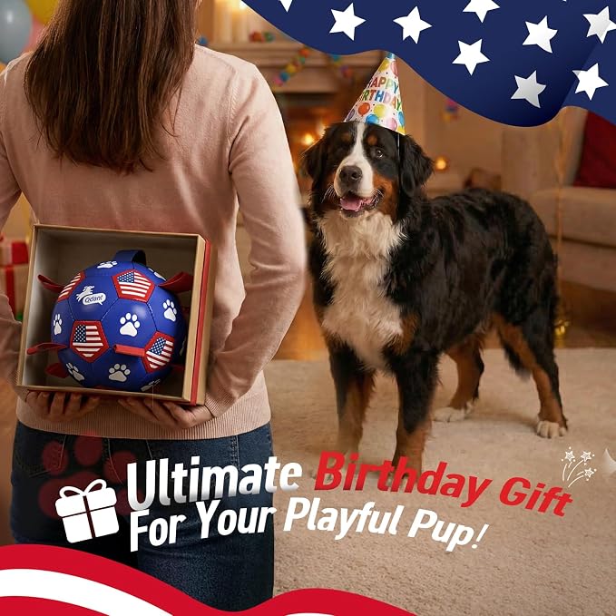 QDAN Dog Balls with Straps, Large Herding Balls for >90lbs Dogs, Soccer Toy | 9 Inch Soccer Ball for Dogs with Tabs for Outside Play, High Energy Dogs to Keep Them Busy, Interactive Tug Toy for Training