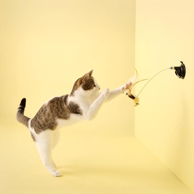 Playology Cat Toys | Limited Edition Toys - Suction Cup Springbird with Feathers & Pop-Up Ladybug Treater | Interactive Fun for Indoor Cats