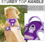 BARKBAY No Pull Dog Harness Front Clip Heavy Duty Reflective Easy Control Handle for Large Dog Walking(Violet Purple & Purple,XS)