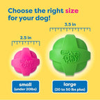 Hartz DuraPlay Ball Squeaky Latex Dog Toy, Neon Green, Neon Pink & Neon Orange, Large 3 Count Pack