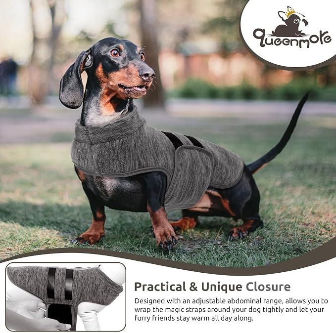 Queenmore Large Dog Sweaters, Soft Fleece Vest Pullover Dog Jacket with Leash Hole, Warm Winter Dogs Clothes Cold Weather Doggy Dachshund Sweater for Large Dogs Cats Boy or Girl (Cationic Gray, L)