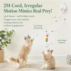 Interactive Cat Toy for Indoor Cats, Automatic Hanging Cat Toy with 5 Refill Teasers, USB-C Rechargeable Self Play Cat Toy, Door Kitten Toy for Exercise, Boredom Relief and Cat Enrichment (White)