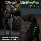 rabbitgoo Escape Proof Dog Harness for X-Large, No Pull with Lift Handle | No Escape, Full Soft Padded, Reflective Adjustable Vest, Leash Clip for Walking Hiking Training, Green, X-Large