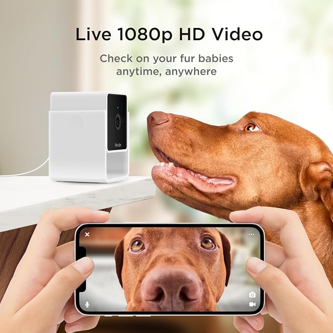Petcube Cam (3-Pack) – Wi-Fi Pet & Security Camera with App | 1080p HD video, 2-way audio, night vision, smart alerts for dog, cat & home security monitoring. Includes 3 cameras