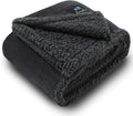 Luciphia Waterproof Bed Blanket Washable,Soft Sherpa Fleece Puppy Reversible Throw Blankets for Small Dog Cat, Furniture Cover Protector Couch Bed from Liquid Pee and Pet Fur, Black, 40" x 28"