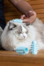 Furr&Purr Cat Brush Set for Indoor Cats - Grooming Tools: Face Scratcher, Calming Massager, and Scratching Pad (2-Pack, Made in the USA)