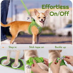 Eagloo Small Dog Harness and Leash Set, Step in Extra Small Puppy Pet Vest | Light, Soft, Breathable Air Mesh, Easy on and off with Hook & Loop, Reflective for Safe Walking, Green, XXS