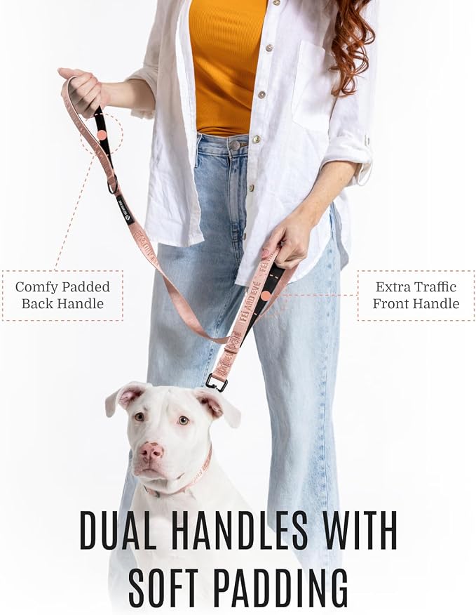 Fei & Eve Classic Dog Leash | Soft-Touch 210D Nylon, Dual Padded Handles, Traffic Handle, Tangle-Free, Heavy Duty, Blush, 6FT