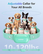 PATPET Shock Collar for Dogs(10-120lbs), 4000ft Rechargeable IPX7 Waterproof Training Collar with Remote for 2 Dogs- Electric Dog Collar for Small Medium Large Dogs 2 Packs | Rechargeable 3 Training Modes (Beep/Vibration/Shock) Dog Training Collar with...