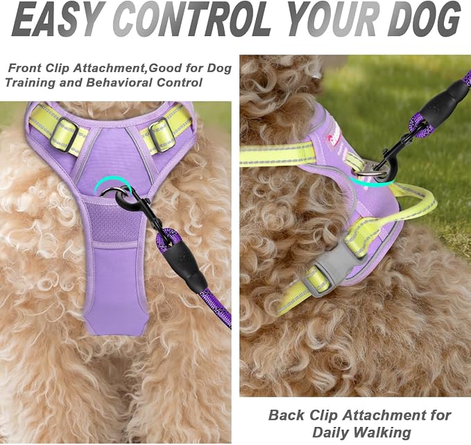 BARKBAY No Pull Dog Harness Front Clip Heavy Duty Reflective Easy Control Handle for Large Dog Walking(Violet Purple & Sunlight,S)