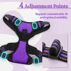 rabbitgoo Dog Harness, No Pull Medium Sized with 2 Leash Clips, Pet Vest | No Choke with Handle, Adjustable Soft Padded, Reflective, Easy Control for Walking, Purple, Medium