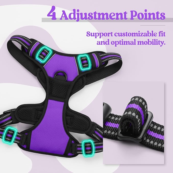 rabbitgoo Dog Harness, No Pull for Large Dogs with 2 Leash Clips, Pet Vest | No Choke with Handle, Adjustable Soft Padded, Reflective, Easy Control for Walking, Purple, X-Large