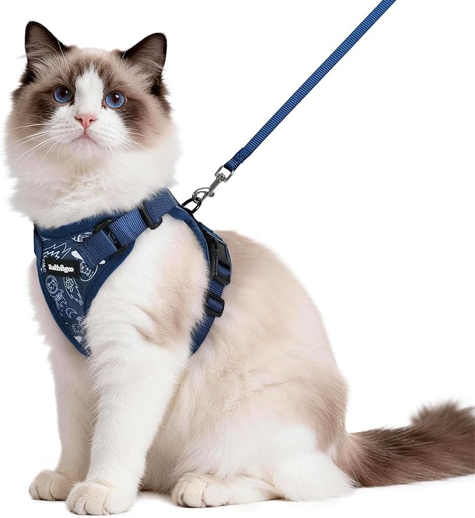rabbitgoo Cat Harness and Leash Set, Escape Proof Vest, Cosmic Ace | Soft Breathable Mesh, Easy Adjustable Fit, Snap Buckles, Sturdy Clip, Reflective Strips, for Medium to Large Cats Walks, M