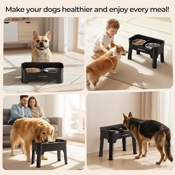 URPOWER Mess Proof Elevated Dog Bowls, Splash Guard Raised Bowl Stand | 4 Height Adjustable Raised Stand with 2 Stainless Steel Food Bowls & Licking Plate for Small, Medium & Large Dogs