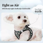 rabbitgoo Dog Harness Small Sized and Leash Set, Step-in Puppy Pet Vest | Light, Soft, Breathable Air Mesh, Easy on and Remove with Hook & Loop, Secure Reflective for Walking, Midnight Daisy XS