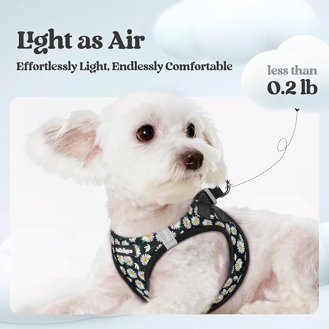 rabbitgoo Dog Harness Small Sized and Leash Set, Step-in Puppy Pet Vest | Light, Soft, Breathable Air Mesh, Easy on and Remove with Hook & Loop, Secure Reflective for Walking, Midnight Daisy XS