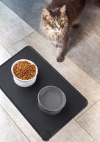 LoeJan Elevated Cat Food Bowl, 5 Oz Ceramic Raised and Tilted Water Bowl, Anti Vomiting and Protect Pets' Spines Dishes for Small Dog, Fat Faced Cat, Kitten (White & Grey)