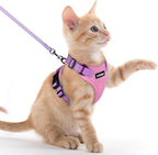 rabbitgoo Cat Harness and Leash Set, Escape Proof Vest, Pink & Light Purple | Soft Breathable Mesh, Easy Adjustable Fit, Snap Buckles, Sturdy Clip, Reflective Strips, for Kittens & Small Cats Walks, Xxs
