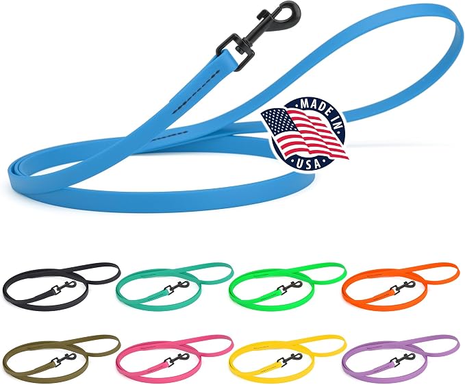 Dogline Biothane Waterproof Dog Leash Strong Coated Nylon Webbing with Black Hardware Odor-Proof Easy to Clean High Performance for Small or Large Dogs Made in USA 4 or 6 ft Lead, Cerulean Blue