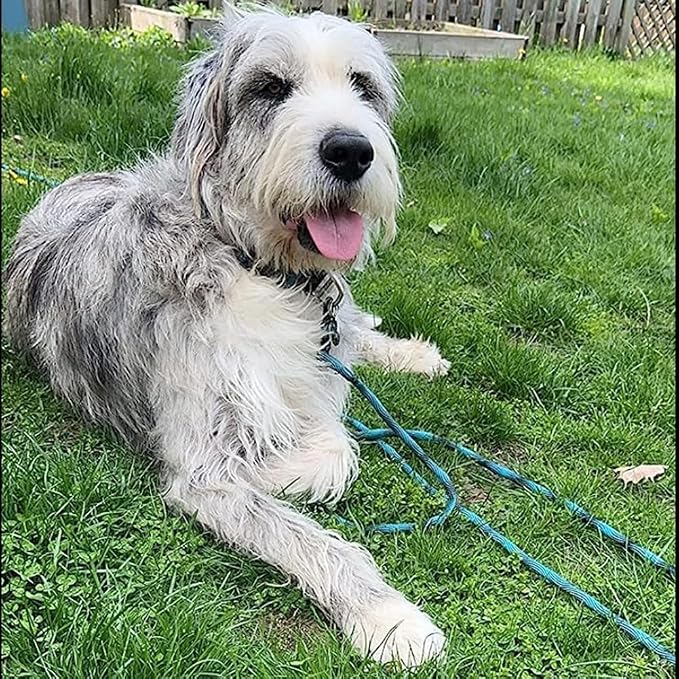 BTINESFUL 8/12/20/30/50/75ft Dog Tie Out Long Tether Rope Dog Lead for Yard | Large Medium Dogs Outdoor Training, Playing, Camping, or Backyard (75ft, Blue Black)