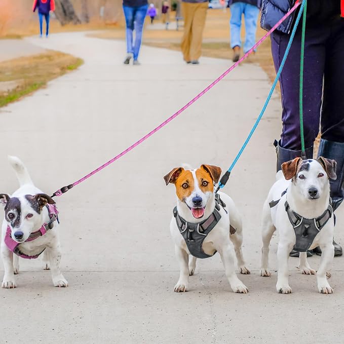 BEAUTYZOO Heavy Duty Rope Dog Leash 6 Pack, 5FT Nylon Pet Lead With Reflective Thread, Soft Padded Handle for Large Medium Dogs Small Puppy