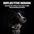 AirTag Dog Collar and Leash, IP68 Waterproof Integrated with Reflective, Ultra-Durable, Comfortable Padded, Heavy Duty Dog Collars for Small Medium Large Dogs, M (12.6"-17.1"), Black