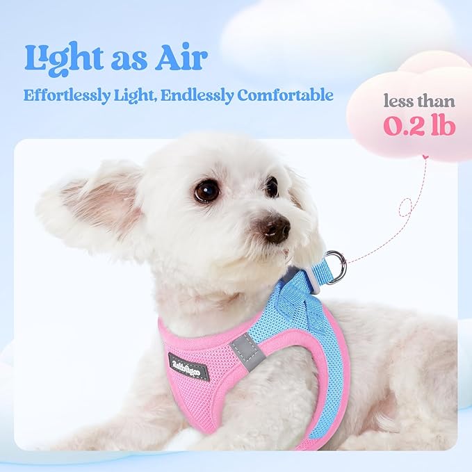rabbitgoo Dog Harness Medium Sized and Leash Set, Step-in Puppy Pet Vest | Light, Soft, Breathable Air Mesh, Easy on and Remove with Hook & Loop, Secure Reflective for Walking, Blue & Light Pink XXL