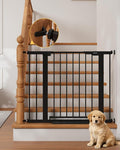 InnoTruth 27-36.6 in Wide Baby Gate for Stairs and Doorways, Black | Indoor Metal Dog Gate for Pets, Auto Close 2 Way Swing Walk Through Door, Double Lock & Y-Bolts, Pressure or Hardware Mount