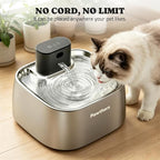 Pawtners Replacement Intelligent Host for STR-PT-108A Pumpless Cat Fountain | Ultra Quiet Host for STR-PT-108A Cordless Pet Water Fountain, Low Voltage DC 5V