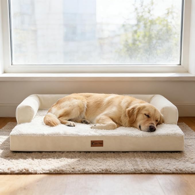 Orthopedic Washable Dog Bed for Extra Large Dogs, 53x42in, Beige | Orthopedic Foam Eases Joint Pressure, Bolsters Supports Head And Neck, Washable Pet Beds, Removable Cover, Non-Slip Bottom