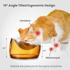 Felli Pet Oblik Whisker Fatigue Cat Food Bowl Raised Stainless Steel Shallow Dish, Pet Design Anti Vomit Tilted Metal Plate Feeder Elevated Acrylic Base for Treats Storage(Gold, 0.5 Cups Shallow Dish)