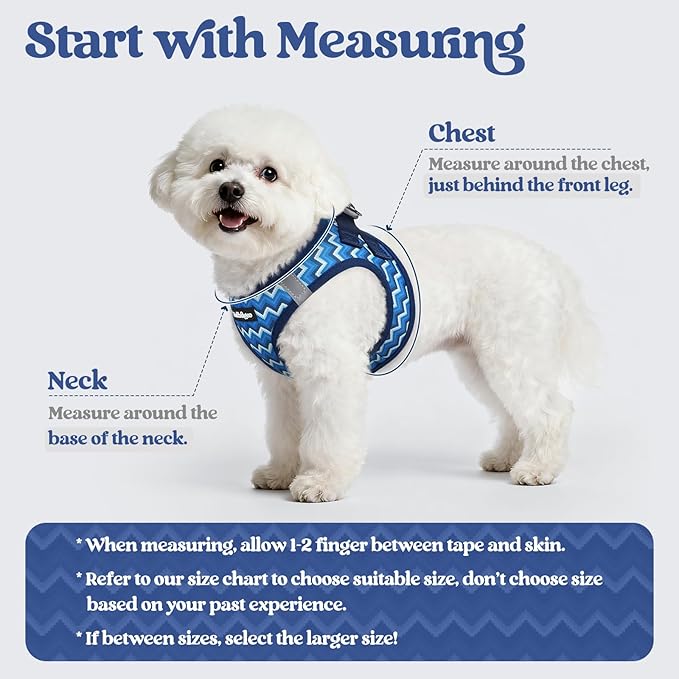 rabbitgoo Dog Harness Small Sized and Leash Set, Step-in Puppy Pet Vest | Light, Soft, Breathable Air Mesh, Easy on and Remove with Hook & Loop, Secure Reflective for Walking, Blue Zigzag M
