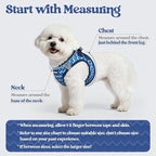 rabbitgoo Dog Harness Small Sized and Leash Set, Step-in Puppy Pet Vest | Light, Soft, Breathable Air Mesh, Easy on and Remove with Hook & Loop, Secure Reflective for Walking, Blue Zigzag M