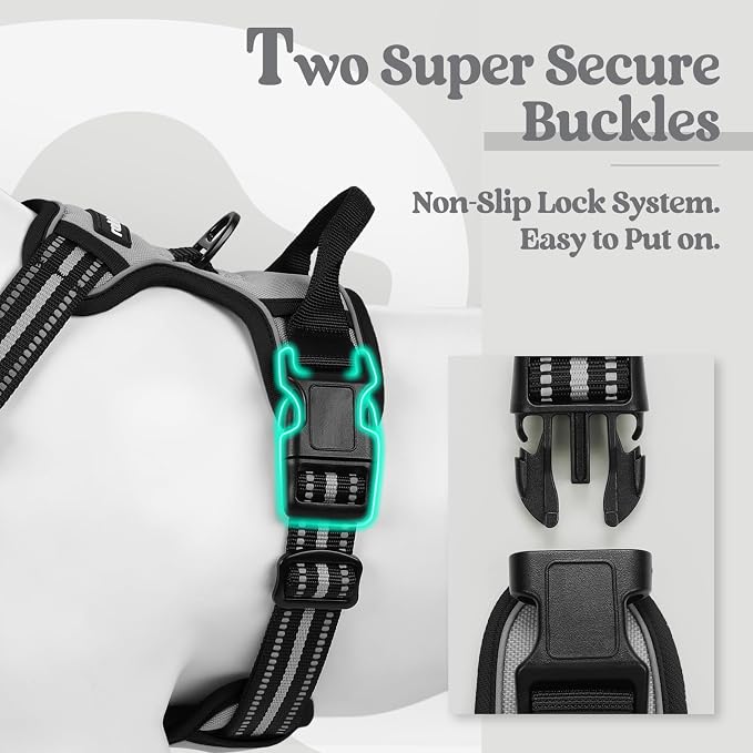 rabbitgoo Dog Harness, No Pull for Small Dogs with 2 Leash Clips, Pet Vest | No Choke with Handle, Adjustable Soft Padded, Reflective, Easy Control for Walking, Gray, Small