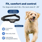 PetSafe Rechargeable In-Ground Fence Collar | Collar Only, Replacement, Extra, Add-A-Dog, Waterproof, Tone and Static, Dogs & Cats 5 lb+, Fits 6-26in Necks