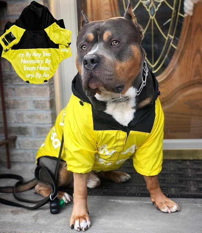 Dog Raincoat Rain Jacket,Slicker Poncho Adjustable Waterproof Dog Raincoat with Leash Hole/Reflective Words Hooded Snowproof Windproof Clothes for Small to 2X-Large Dogs (Yellow, XX-Large)